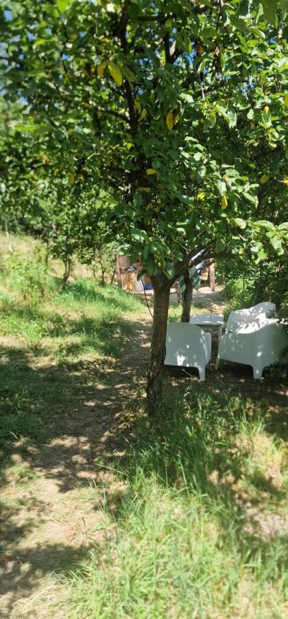 Sokolar Casageo Cheile Nereiヴィラ エクステリア 写真